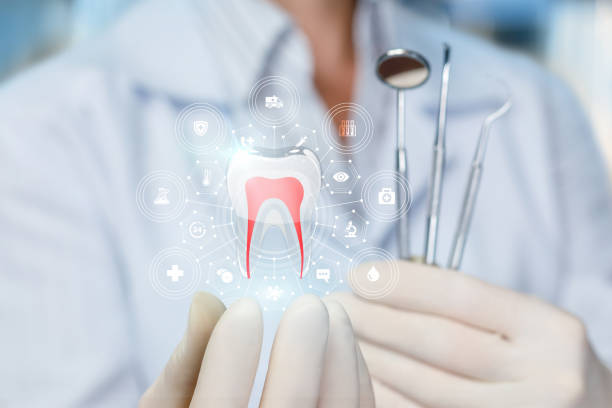  Morganton, NC Dental Services Pros